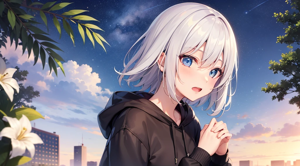 (masutepiece: 1.2, Best Quality), 1 Lady, Solo, silber hair,Shoulder out,Very short hair, long bangs between eyes, blue eyess,Black eyes, Hoodie,White hair, Silver hair, Hoodie, White hoodie、blue-sky、in woods、izumi、flower  field、open open mouth、5 fingers