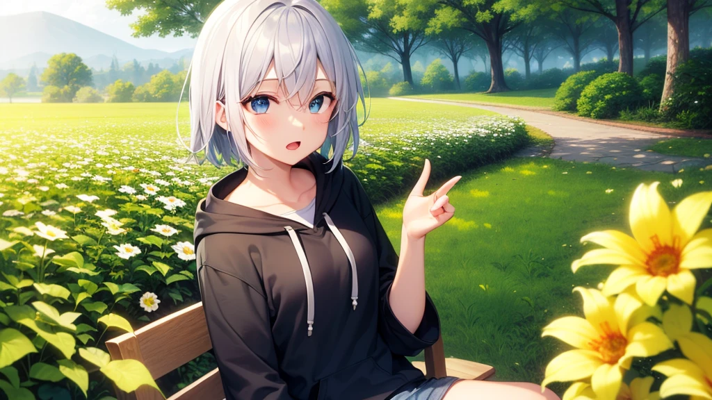 (masutepiece: 1.2, Best Quality), 1 Lady, Solo, silber hair,Shoulder out,Very short hair, long bangs between eyes, blue eyess,Black eyes, Hoodie,White hair, Silver hair, Hoodie, White hoodie、blue-sky、in woods、izumi、flower field、sit a chair、open open mouth、5 fingers