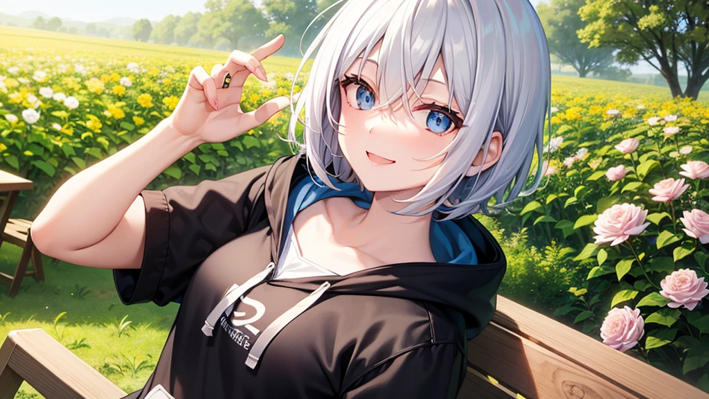 (masutepiece: 1.2, Best Quality), 1 Lady, Solo, silber hair,Shoulder out,Very short hair, long bangs between eyes, blue eyess,Black eyes, Hoodie,White hair, Silver hair, Hoodie, White hoodie、blue-sky、in woods、izumi、flower field、sit a chair、a smile、open open mouth、5 fingers