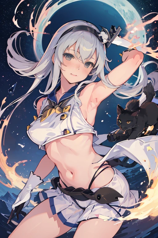 hyper detailed, perfect ???????, extremely detailed and delicate, 1 girl, shimakaze(kancolle), 1 black cat, night sky, stars, milkyway, hugging a black cat,