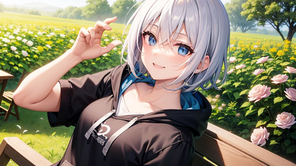 (masutepiece: 1.2, Best Quality), 1 Lady, Solo, silber hair,Shoulder out,Very short hair, long bangs between eyes, blue eyess,Black eyes, Hoodie,White hair, Silver hair, Hoodie, White hoodie、blue-sky、in woods、izumi、flower field、sit a chair、A smile、open open mouth、5 fingers