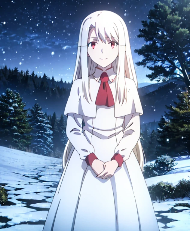 best quality, (masterpiece:1.2), very detailed, faay background, (night:1.4), forest, snowing, illyasviel von einzbern ubw, 1girl, alone, standing, looking at viewer, mouth closed, smile, long hair, white hair, red eyes, white dress,