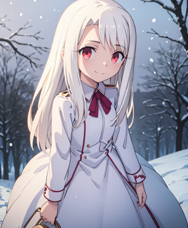 best quality, (masterpiece:1.2), very detailed, faay background, (night:1.4), forest, snowing, illyasviel von einzbern ubw, 1girl, alone, standing, looking at viewer, mouth closed, smile, long hair, white hair, red eyes, white dress,
