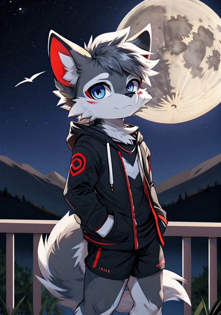 solo, wolf, furry male, tall, white color fur, short hair, gray color fur around the forehead, (light gray color ear roots:1.2), (red color ear tips:1.2), deep blue color eyes, big long tail, white color tail tips, white arms, (light blue and white hoodie:1.1), short sleeves, black shorts, glasses, stand, night, dark sky, large open balcony, distant mountains, modern city, dark sky, full moon, close up, full body, detailed character