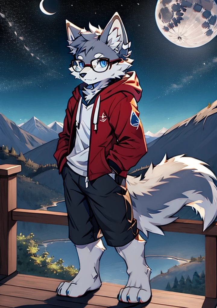 solo, wolf, furry male, tall, white color fur, short hair, gray color fur around the forehead, (light gray color ear roots:1.2), (red color ear tips:1.2), deep blue color eyes, big long tail, white color tail tips, white arms, full meat pad on paws, (light blue and white hoodie:1.1), short sleeves, black shorts, glasses, stand, wave paws, night, dark sky, large open balcony, distant mountains, modern city, dark sky, full moon, close up, full body, detailed character