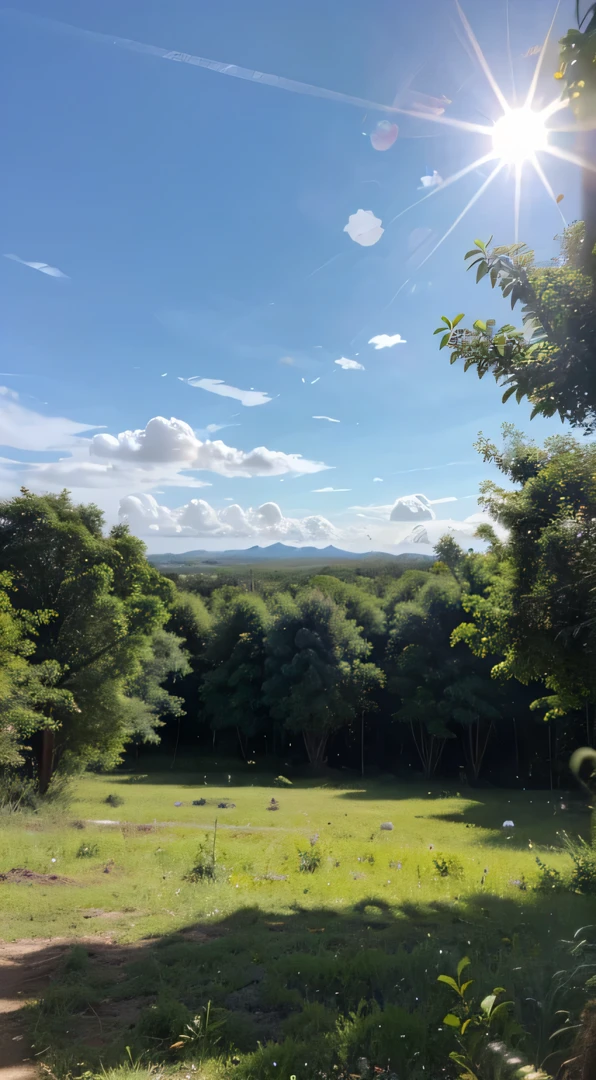 a paradisiacal image of a plateau with trees, with a sunny sky.