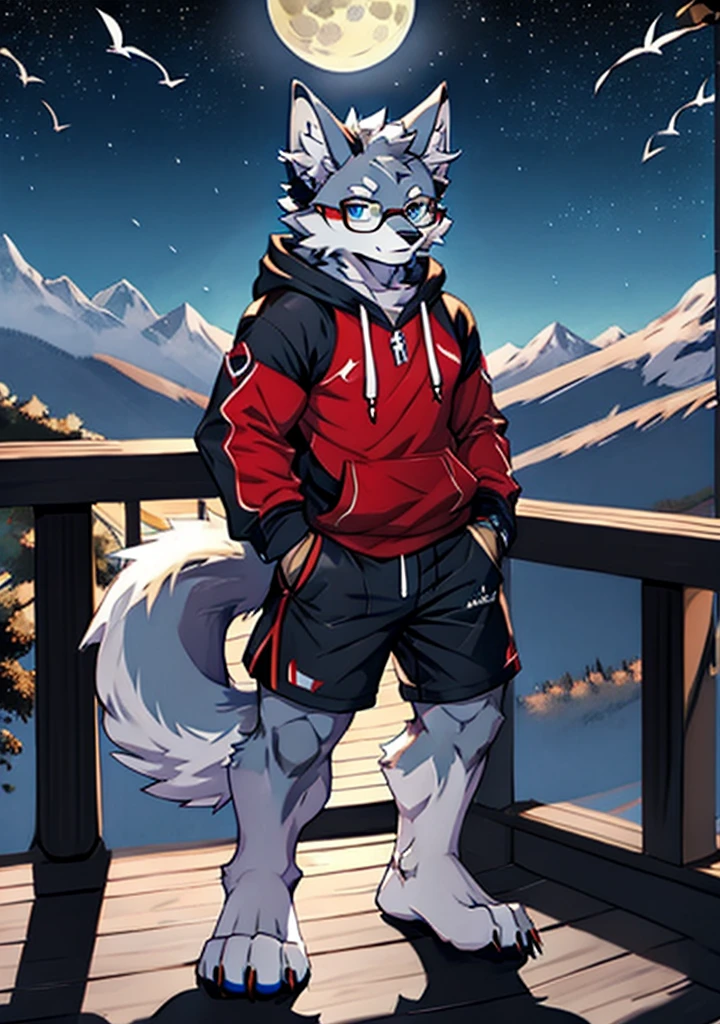solo, wolf, furry male, tall, white color fur, short hair, gray color fur around the forehead, (light gray color ear roots:1.2), (red color ear tips:1.2), deep blue color eyes, big long tail, white color tail tips, white arms, full meat pad on paws, (light blue and white hoodie:1.1), short sleeves, black shorts, glasses, stand, wave paws, night, dark sky, large open balcony, distant mountains, modern city, dark sky, full moon, close up, full body, detailed character