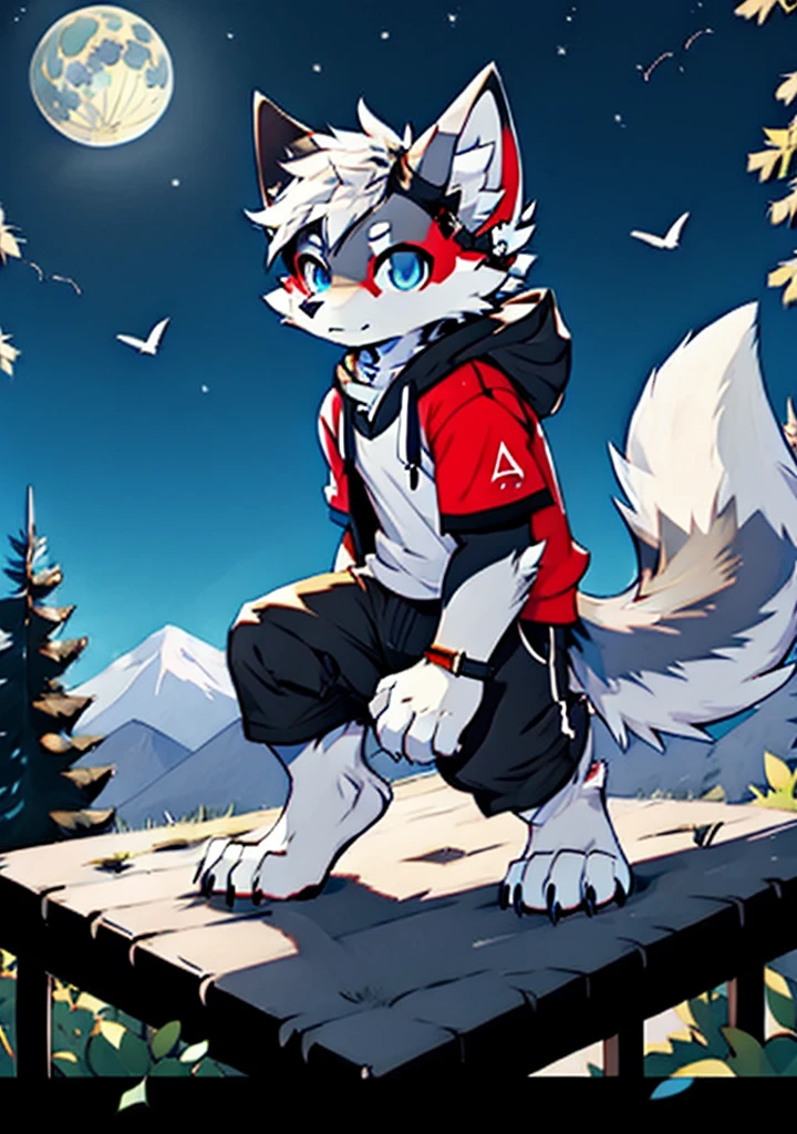 solo, wolf, furry male, tall, white color fur, short hair, gray color fur around the forehead, (light gray color ear roots:1.2), (red color ear tips:1.2), deep blue color eyes, big long tail, white color tail tips, white arms, full meat pad on paws, (light blue and white hoodie:1.1), short sleeves, black shorts, glasses, stand, wave paws, night, dark sky, large open balcony, distant mountains, modern city, dark sky, full moon, close up, full body, detailed character