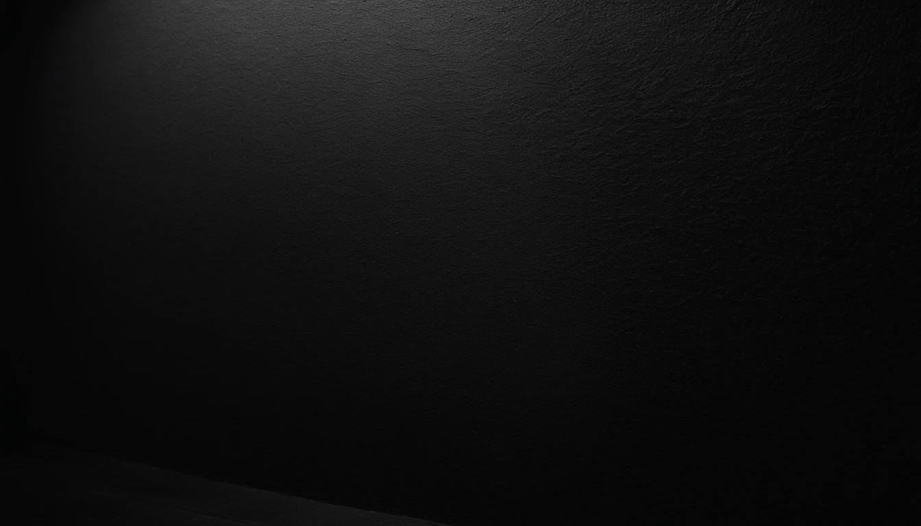 a detailed macro shot of the texture of an empty black wall, focusing on the fine grain and subtle imperfections that give it character and depth
