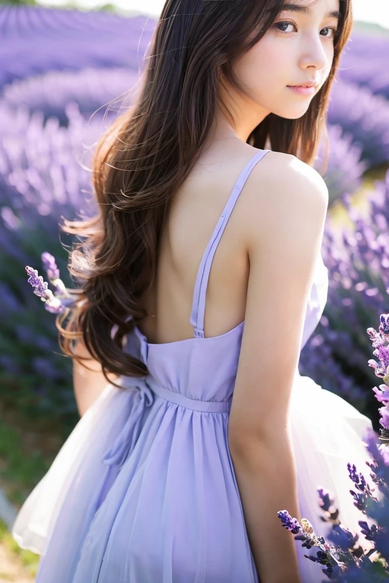 Provence region、Lavender on one side、The person is from the back、A girl about 14 years old、Rear head、I can't see my face、