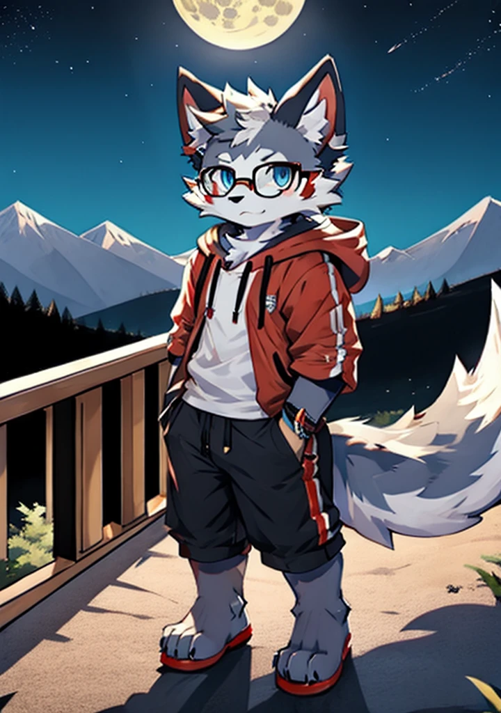 solo, wolf, furry male, tall, white color fur, short hair, gray color fur around the forehead, (light gray color ear roots:1.2), (red color ear tips:1.2), deep blue color eyes, big long tail, white color tail tips, white arms, full meat pad on paws, (light blue and white hoodie:1.1), short sleeves, black shorts, glasses, stand, wave paws, night, dark sky, large open balcony, distant mountains, modern city, dark sky, full moon, close up, full body, detailed character
