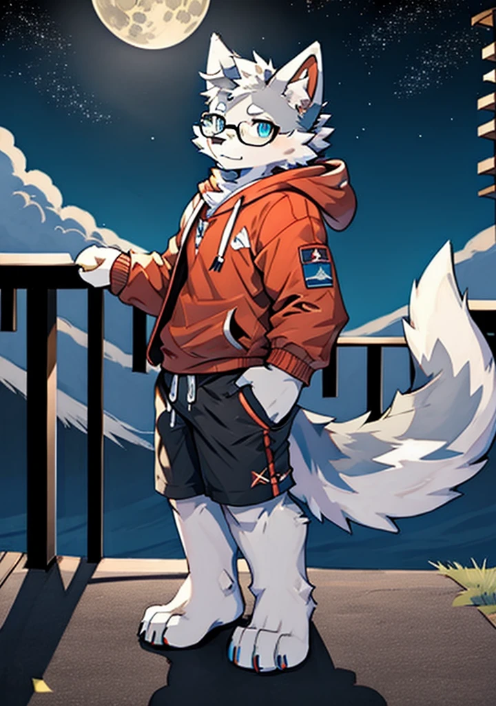solo, wolf, furry male, tall, white color fur, short hair, gray color fur around the forehead, (light gray color ear roots:1.2), (red color ear tips:1.2), deep blue color eyes, big long tail, white color tail tips, white arms, full meat pad on paws, (light blue and white hoodie:1.1), short sleeves, black shorts, glasses, stand, wave paws, night, dark sky, large open balcony, distant mountains, modern city, dark sky, full moon, close up, full body