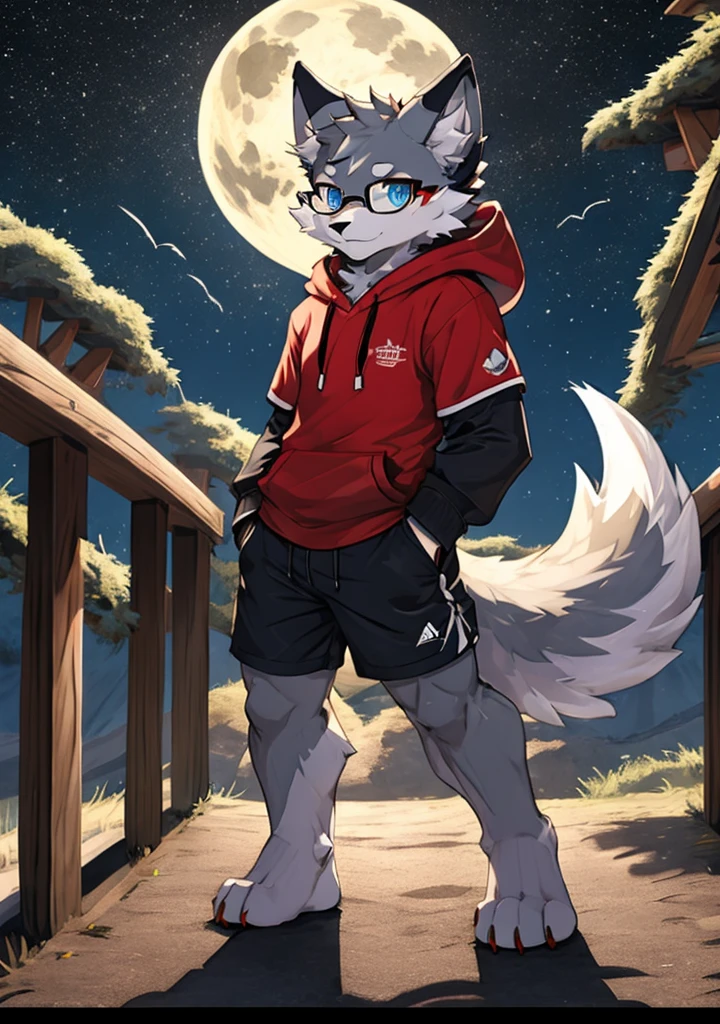 solo, wolf, furry male, tall, white color fur, short hair, gray color fur around the forehead, (light gray color ear roots:1.2), (red color ear tips:1.2), deep blue color eyes, big long tail, white color tail tips, white arms, full meat pad on paws, (light blue and white hoodie:1.1), short sleeves, black shorts, glasses, stand, wave paws, night, dark sky, large open balcony, distant mountains, modern city, dark sky, full moon, close up, full body, detailed character