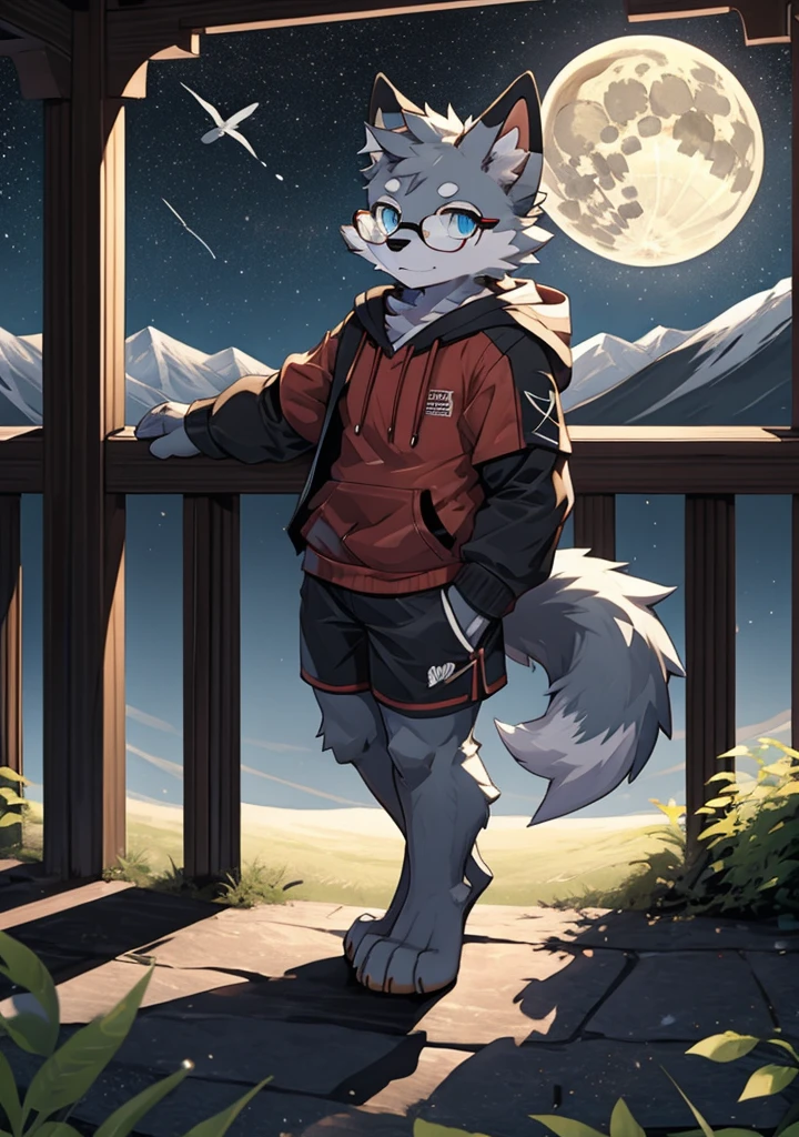 solo, wolf, furry male, tall, white color fur, short hair, gray color fur around the forehead, (light gray color ear roots:1.2), (red color ear tips:1.2), deep blue color eyes, big long tail, white color tail tips, white arms, full meat pad on paws, (light blue and white hoodie:1.1), short sleeves, black shorts, glasses, stand, wave paws, night, dark sky, large open balcony, distant mountains, modern city, dark sky, full moon, close up, full body, detailed character