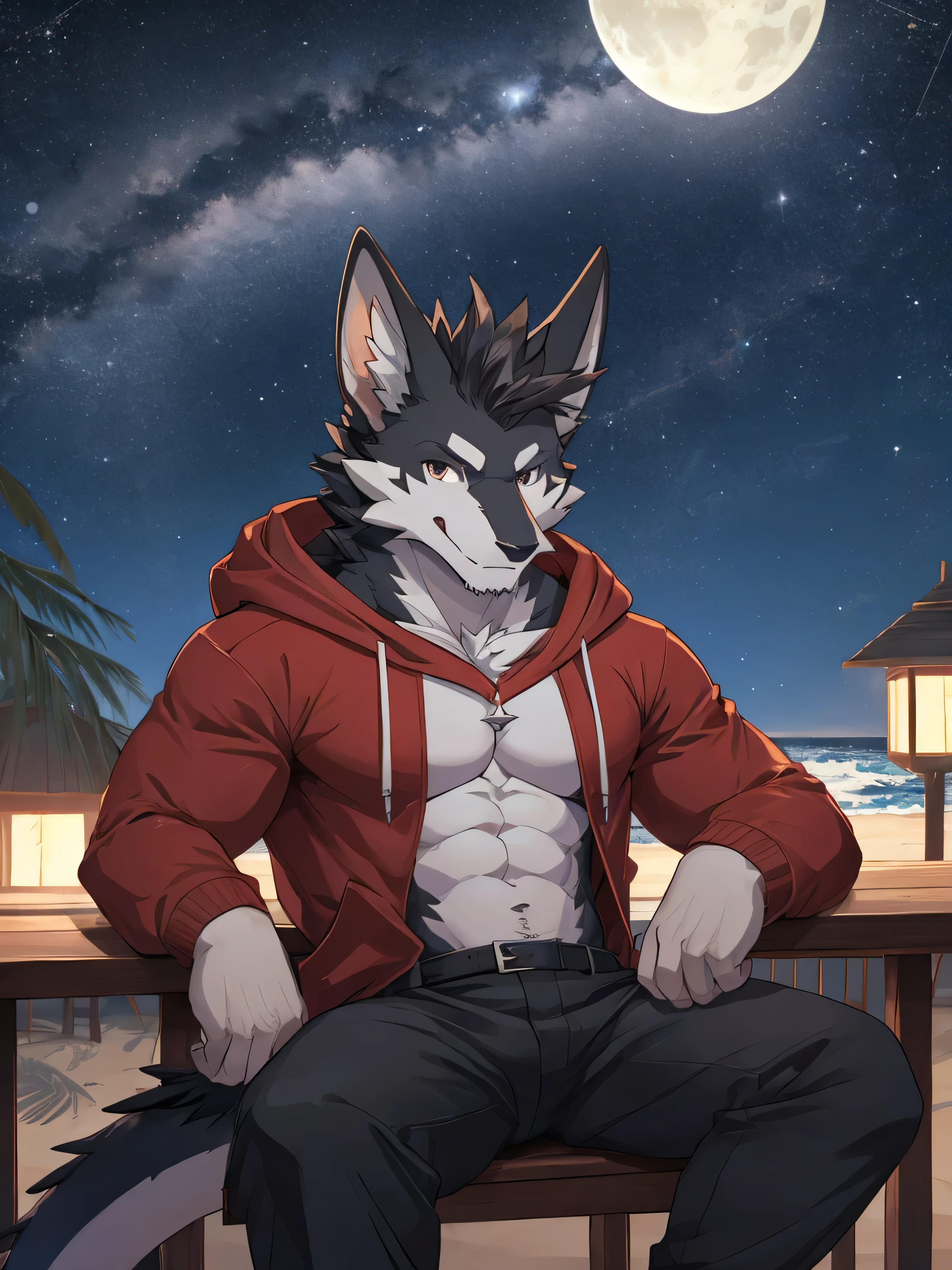 (ByZEphyrus)furry.bara,Half dragon fox 1.0,Black feathers,(Black eyes,The pupils are star-shaped..),Has dragon horns 1.0 ,muscular,Dragon Tail 1.2,Wear a red hoodie,Wear black trousers..,sitting on a chair by the sea,at night,Looking up at the colored belly,There are stars in the sky..