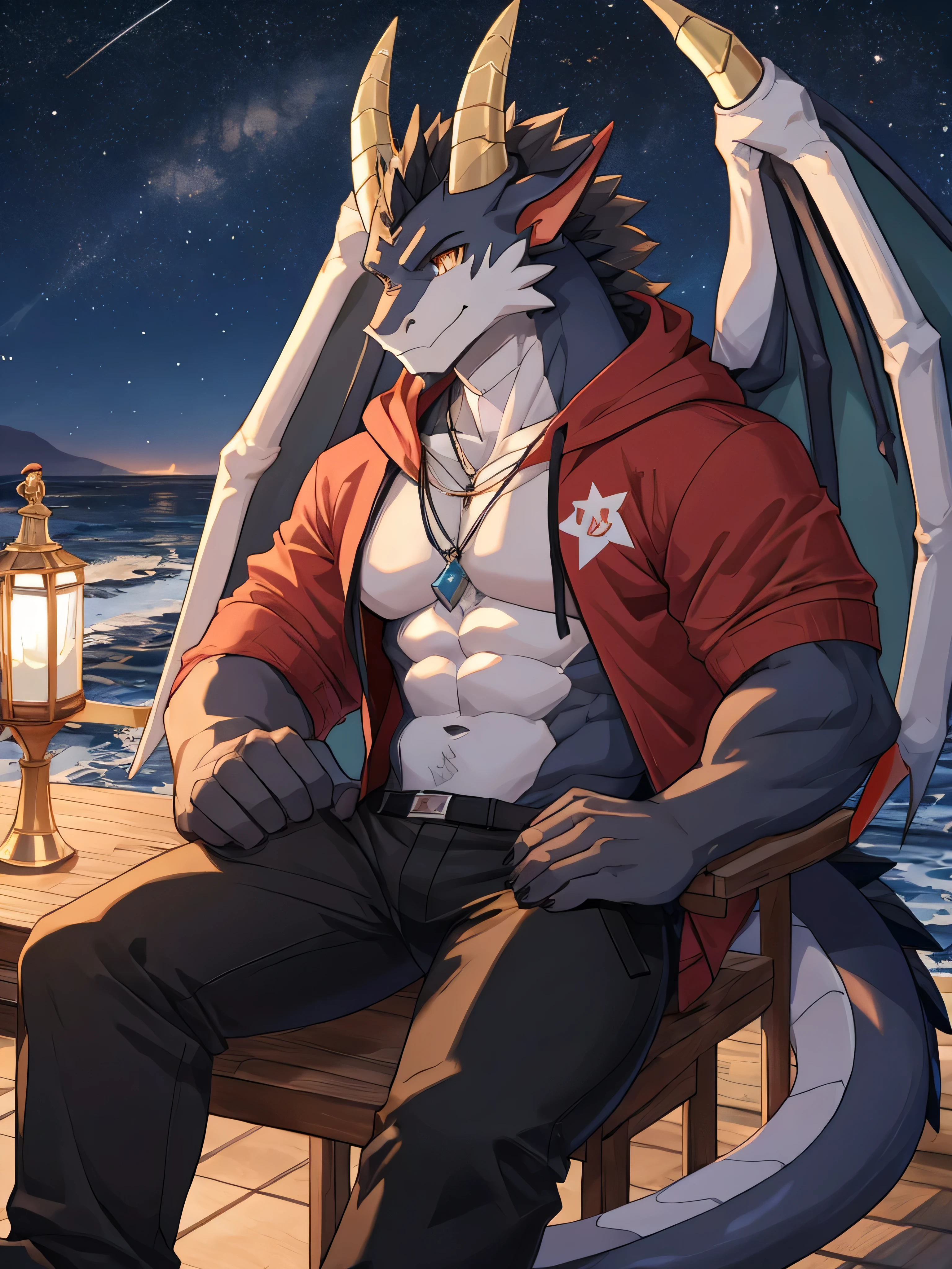 (ByZEphyrus)furry.bara,Fox mixed with dragon 1.3,Black feathers,(star shaped eyes),Has dragon horns 1.0 ,muscular,Dragon wings 1.0 ,Dragon Tail 1.0,Wear a red hoodie,Wear black trousers..,sitting on a chair by the sea,at night,Looking up at the colored belly,There are stars in the sky..