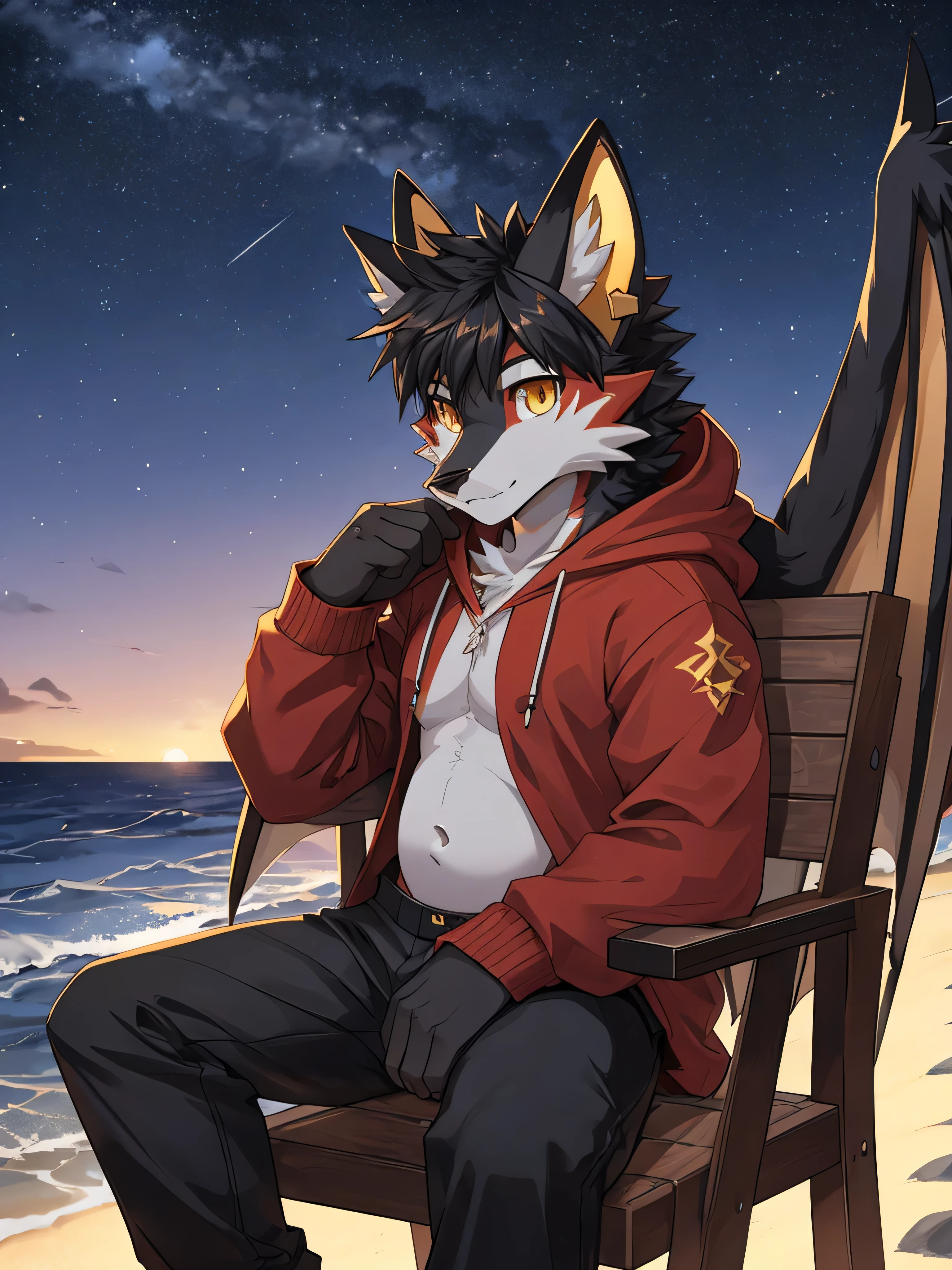 (ByZEphyrus)furry.bara,fox,Black feathers,golden eyes,Star-shaped pupil 1.5,Has dragon horns 1.0 ,winged dragon 1.0 ,Wear a red hoodie,Wear black trousers..,sitting on a chair by the sea,at night,Looking up at the colored belly,There are stars in the sky..