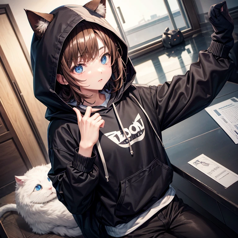 Brown hair、Black pants、Gray hoodie、Wear a hood with cat ears、short-hair、Neutral face、blue eyess