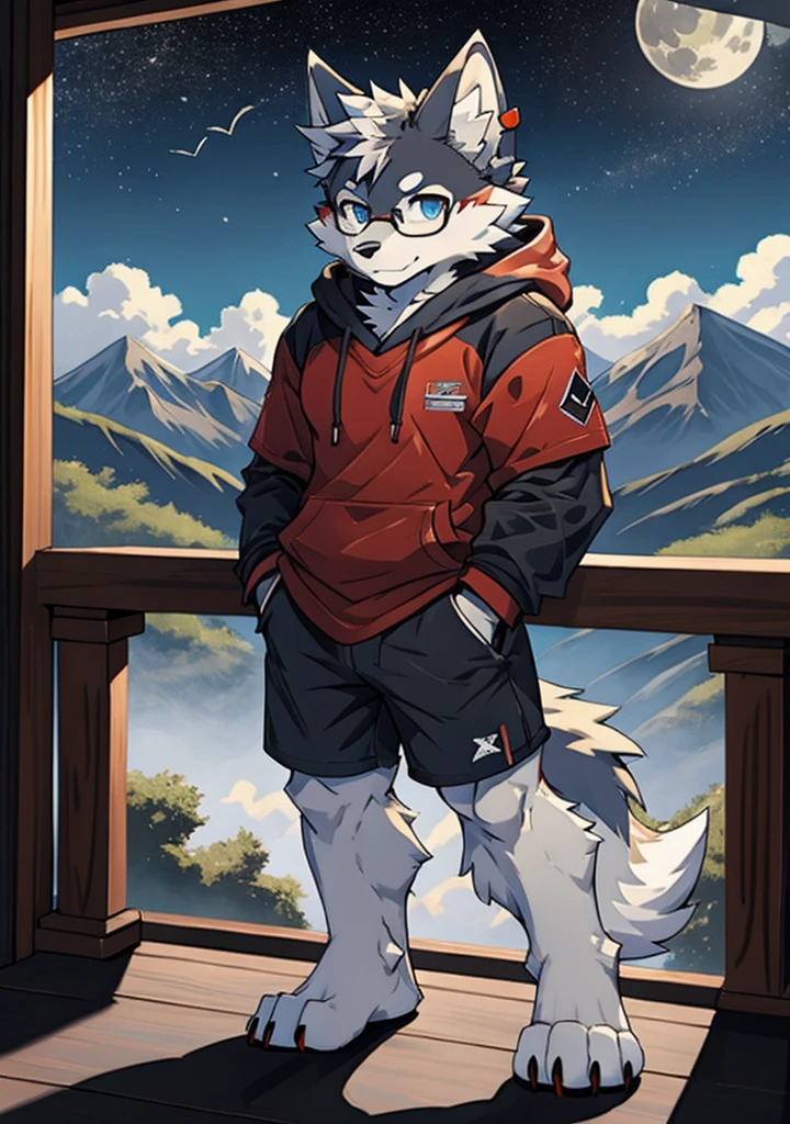 solo, wolf, furry male, tall, white color fur, short hair, gray color fur around the forehead, (light gray color ear roots:1.2), (red color ear tips:1.2), deep blue color eyes, big long tail, white color tail tips, white arms, full meat pad on paws, (light blue and white hoodie:1.1), short sleeves, black shorts, glasses, stand, wave paws, night, dark sky, large open balcony, distant mountains, modern city, dark sky, full moon, close up, full body, detailed character