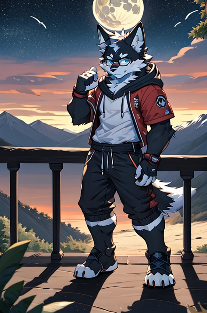 solo, wolf, male, tall, white fur, deep blue eyes, short sleeves hoodie, black shorts, glasses, stand, wave hands, open balcony, mountains, full moon, full body