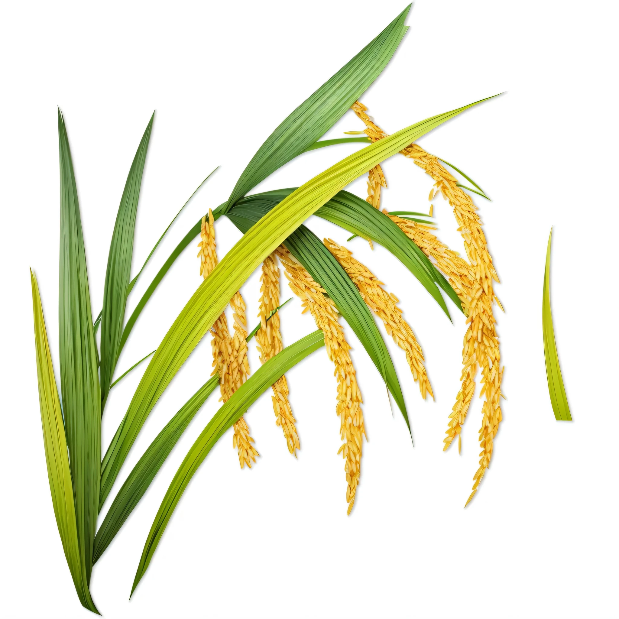 One stalk of rice，meter, number art - n 5, a a digital rendering, by illustrator, a digital rendering, 3d abstract rendering overlay, [ number art ]!!, number art - n 9, Digital illustration style, digital painting very detailed, number art picture, With 3D rendering, With 3D rendering