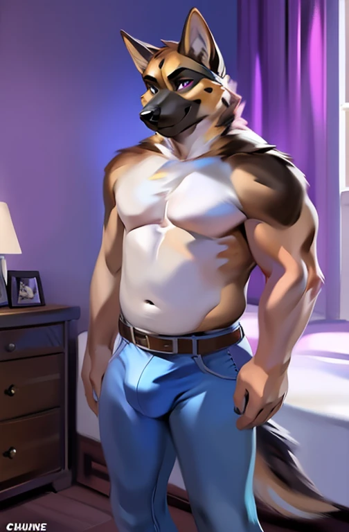 solo, male, german shepherd, topless, wearing a purple color party domino eye mask, smirk, overweight, detailed bulge, tight blue jeans with brown belt, brown cowboy boots, at a bedroom, by chunie