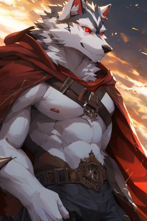 (ultimate death wolf) best quality, ultra high res,1furry boy， solo，detailed eyes, volumetric lighting, amazing, finely detail, cowboy shot, cloak , white fur, red eyes, white sclera, bright pupils, bright atmosphere, muscular, upper body, from below (remake)