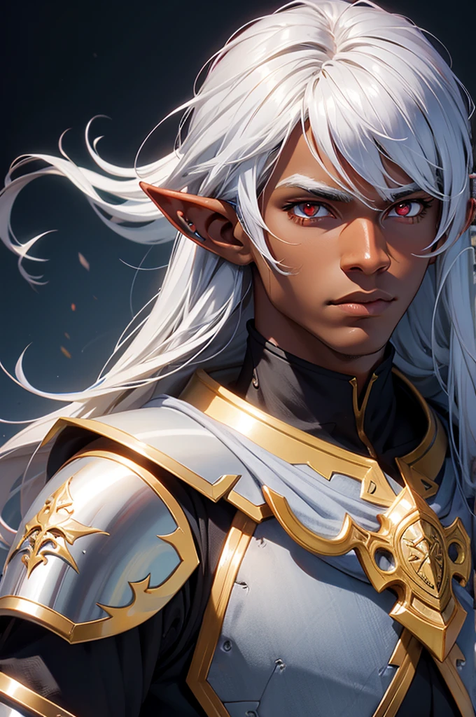 Half elf male, wearing paladin armor, Dark Skin, portrait, silver hair, red eyes