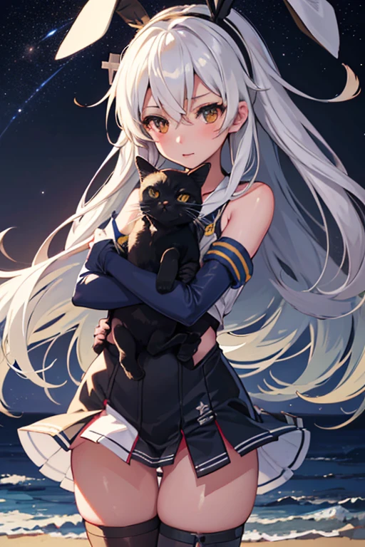 hyper detailed, perfect anatomy, extremely detailed and delicate, 1 girl, shimakaze(kancolle), 1 black cat, night sky, stars, milkyway, hugging a black cat,