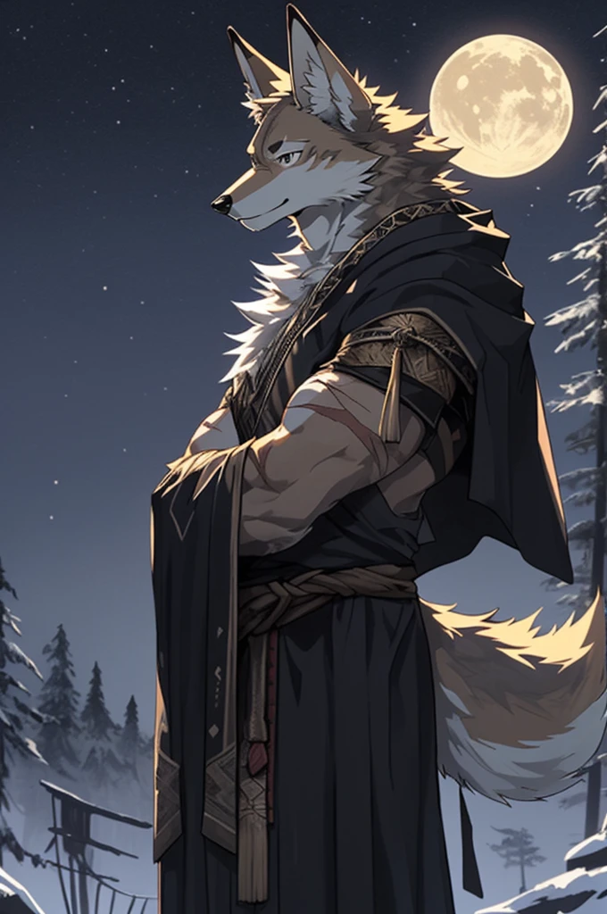 kthe night sword, (Best quality at best), (tmasterpiece), (ultra - detailed), Focus sharp, niji, Eyes, Black eyes, Side view,Stand with arms crossed without looking at the audience, ssmile, hairy pubic, critters_coyote_hor ears, Light white fur, Brown fur, black bhor earsd, The upper part of the body, Humanity (coyote), male people, (coyote), Middle age, Scars on face and hands, grey body, White belly, musculous, kthe night costume, villages, ultra - detailed face, Low light, the night, the night vibes, The tree