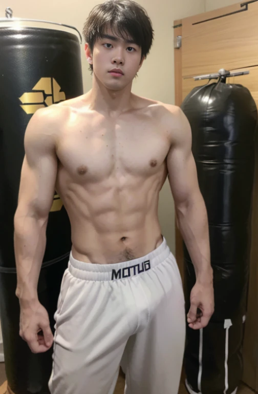 1 handsome Japanese guy，age 22，Fighters，Kota Miura，Confident and masculine，Ruffian，with short golden hair，Battle damage，Boxing gloves and punching bags，tall，Muscles look good，hairy bodies，Wheat complexion，黑The eye（thin eyes 1：3），fully body photo