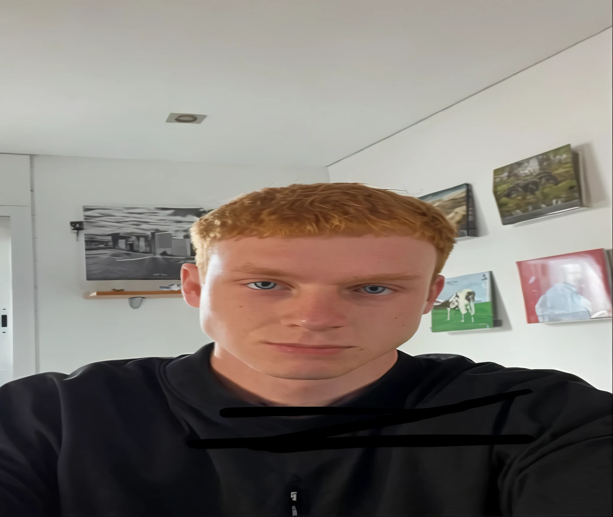there is a man that is taking a selfie with a cell phone, cabelo de gengibre with freckles, cabelo de gengibre, taken in the early 2020s, em torno de 1 9 anos, Forrest em segundo plano, menino ruivo, red head, imagem de qualidade muito baixa, Streamer do Twitch / Jogador Ludwig, imagem frontal, bladee from drain gang