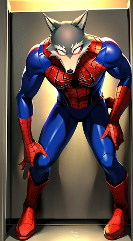 solo, wolf, male, legoshi_(lora), grey fur, grey hand, hi res, soft shading, ( detailed fur 1.2 ), (surprise expression), ( solo 1.1) (detailed), (masterpiece: 1.2), ( full body head to toe show), , wearing a spider-man costume, black spider logo, spiderman webbed print (chrome web lining) ( red and blue bodysuit) (spandex spider-man costume: 1.2), (tight), (tight blue pants) (red gloves), (red boots), front view, dim-lit, restroom, (hiding inside the bathroom stall cubicle), by chunie by itagaki paru