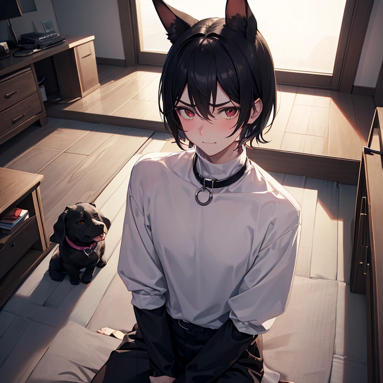 white man, blushing, sitting on kneese, looking at camera, skinny body build, wearing orange collar on neck, black hair, short black hair, looking at camera with nervous eyes and furrowed bushy eyebrows, nervous smile, wearing black turtleneck, vfx, best quality, atmospheric lighting, bedroom background, kneeling on knees, begging, blushing pink, collar and leash on neck, high angle, above angle, moaning, dog ears and collar