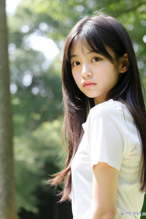 highest quality,stage, Japanese female 13 years old, background forest , look directly at the camera, perfect eyes,  straight thin nose, A photo taken from a distance,performance
