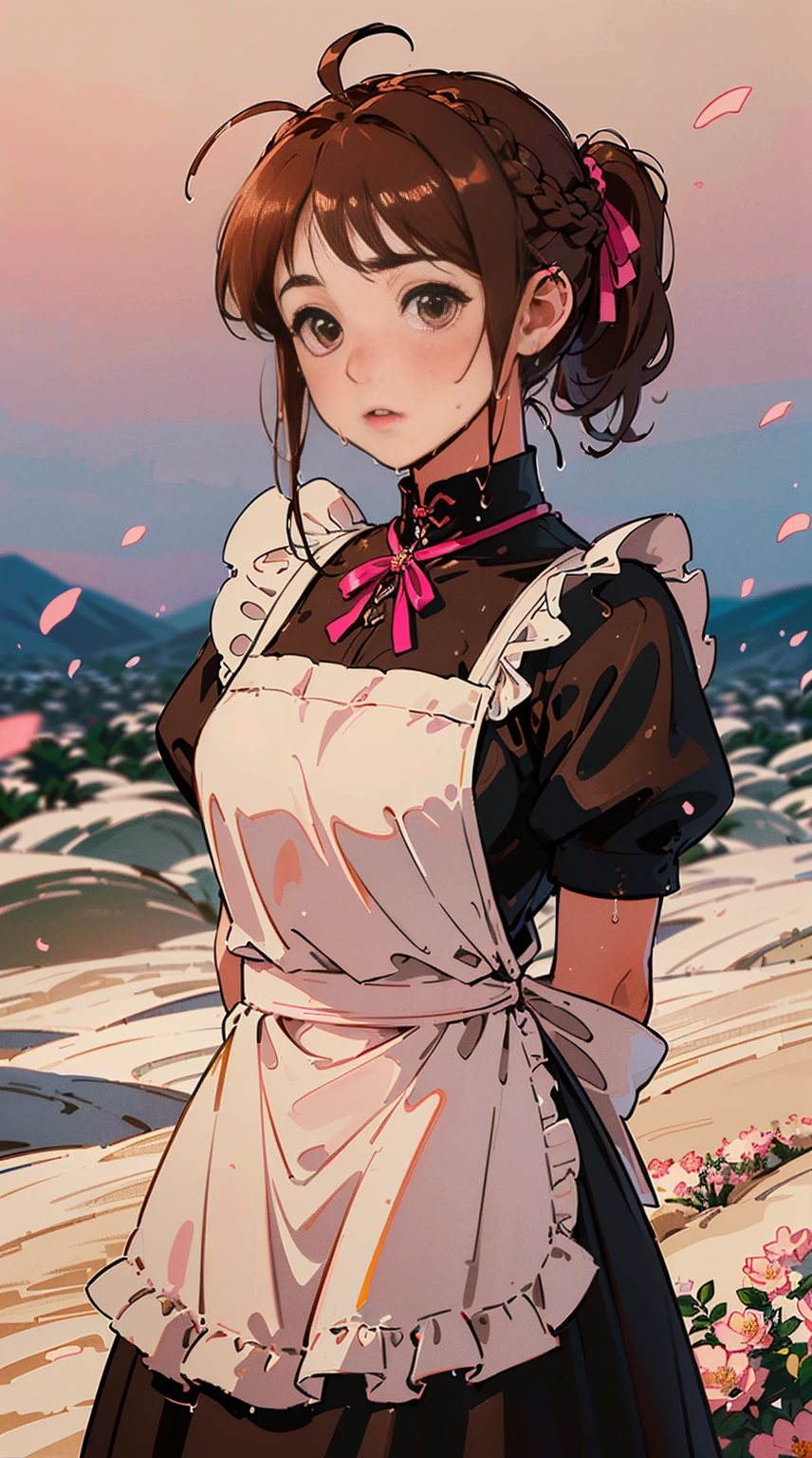 (((((((turn your arms behind your back,blush,Cute cheeks,brown hair，Gothic maid apron with flowers))))))，((1 girl,alone,wonderful,pretty girl，thinface,))(masterpiece,highest quality, official art, Beautiful and aesthetic:1.2),((hd,golden ratio,)) (16k),((cherry blossom petals,snow flakes)),(Physically based rendering),((((in the desert,At night,)))) (((high detail skin,)))，((hair crown)),((((fine hair|middle hair|french braid|knot top|wet hair|side ponytail|Ahoge)))),thin,thick,(masterpieceサイドライト),(luster),(beautiful hair,美しいeye,）[[Delicate fingers and hands:0.55]::0.85],(detail finger),(((excellent quality,)))),((incredible quality,)),((very_be familiar with_eye_and_face)),movie girls,(moving composition: 1.2),wonderful, (realistic), ((pink ribbon in hair)),Super precise depiction, Super detailed depiction