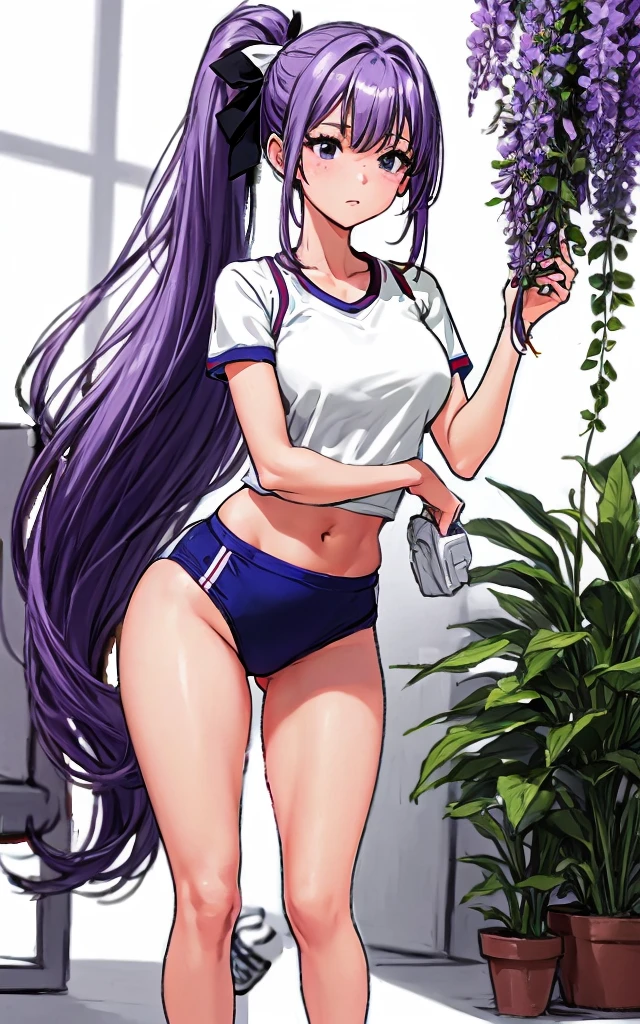 A beautiful woman with long wisteria purple hair in a ponytail that reaches to her shoulders and a light pink ribbon in the back, and a sharp face and beautiful legs, is wearing a white gym uniform.、I'm standing at school wearing dark blue bloomers shaped like panties.。