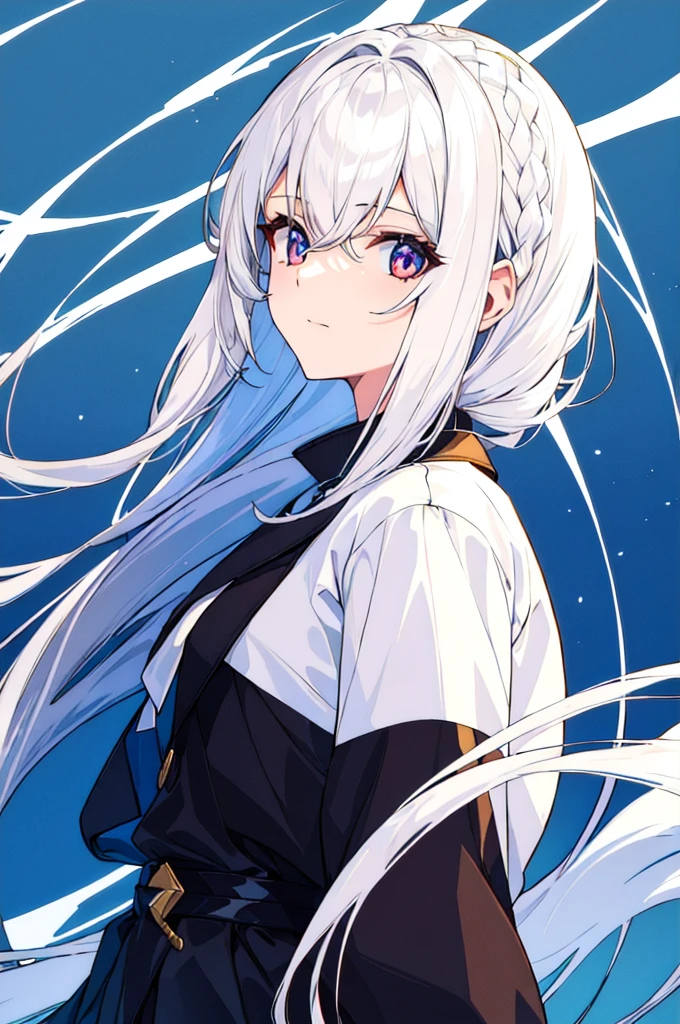 Straight, silver hair that reaches down to the waist、White skin、blue eyes、Blue fabric jersey with white lines on the arms、Blurry face