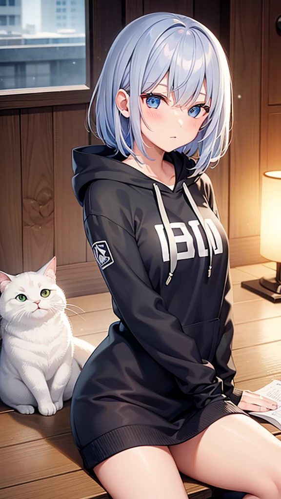 highest quality,woman,one person、 silver hair,show your shoulders,very short hair, long bangs between the eyes, blue eyes,black eye, hoodie,gray hair, hoodie, 白いhoodie、inside the room、five fingers、it's snowing、Inside Kamakura、warm by fire