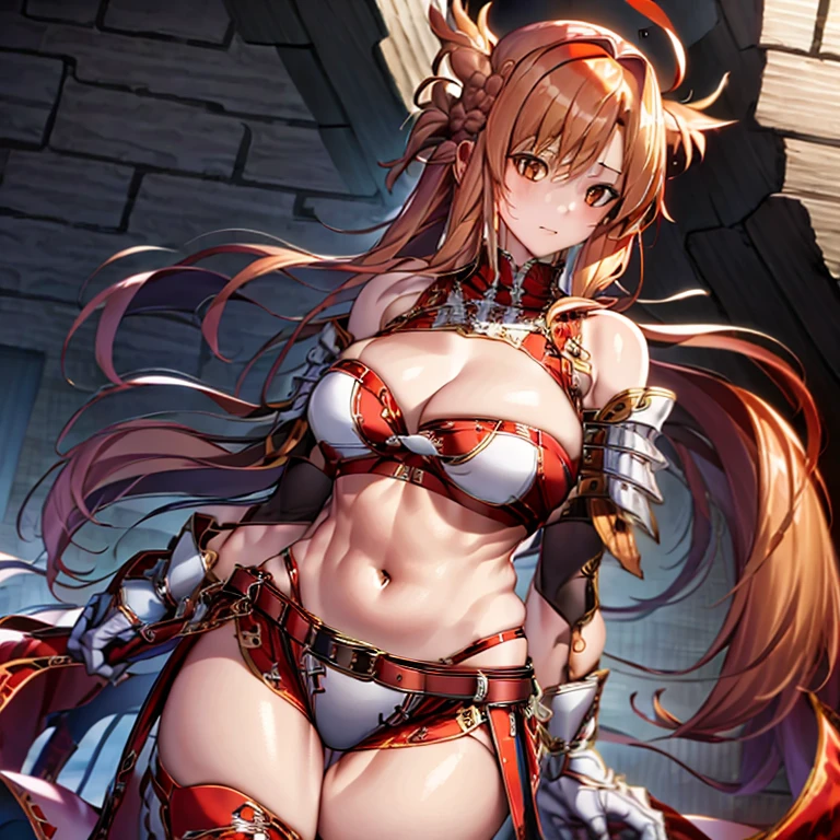1girll,fur armour,Viking warrior, fur,Wolf ears, Extremely detailed,Reddish-orange hair,Braid,view the viewer(Masterpiece, Best quality:1.2)