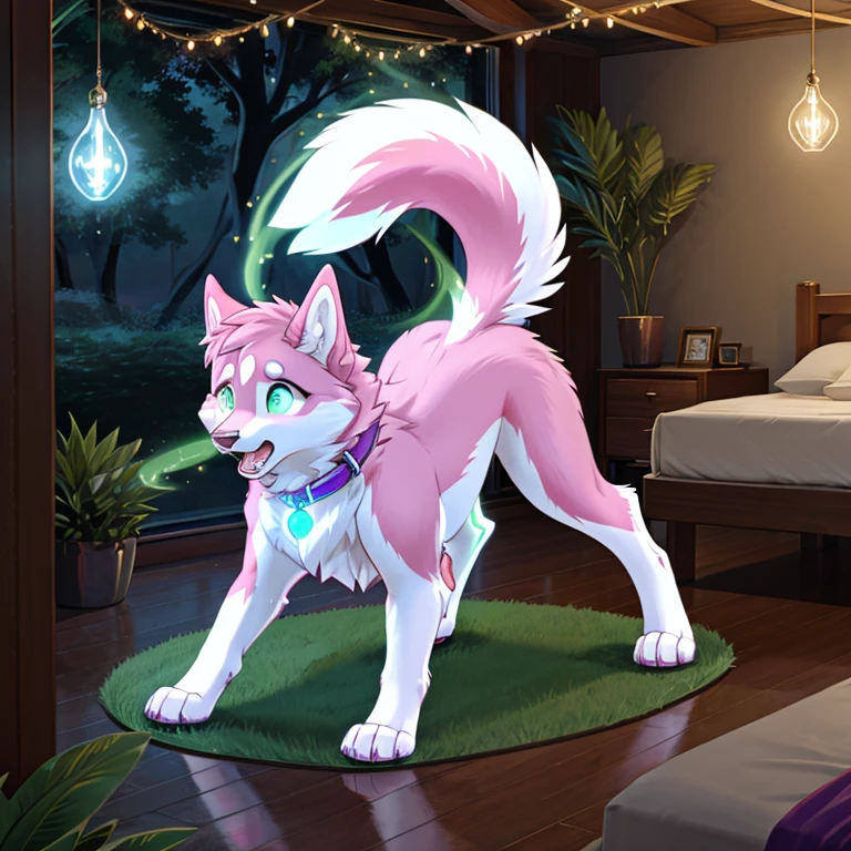 shocked feral Female husky with pink fur and glowing Green eyes in purple collar standing on all fours there is some traces of magic floating around her she is in a bedroom