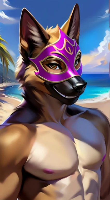 solo, male, overweight, german shepherd, dlif, daddy, white beard, bearded muzzle (facial hair), purple masquerade mask (detailed mask: 1.1), fully nude, naked, portrait focus, beach background, blowjob, (oral sex), sucking a grey wolf penis, by chunie, bedroom eyes