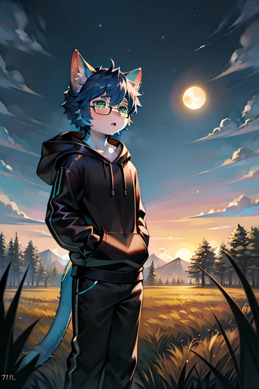 best quality,4k,high resolution,Ultra-detailed,Photorealistic:1.37), serious expression, blue short hair, cat ears, cat tail, green eyeluffy, Shota, male, Lovely, illustration, digital painting, studio lighting, bright colors, Surreal, pastel color palette, soft light, hairy, Cats, long tail, personification, hairy艺术风格, black hoodie, Glasses,White trouserlack sneakers,in the fields,outdoor,moon,,Aloof