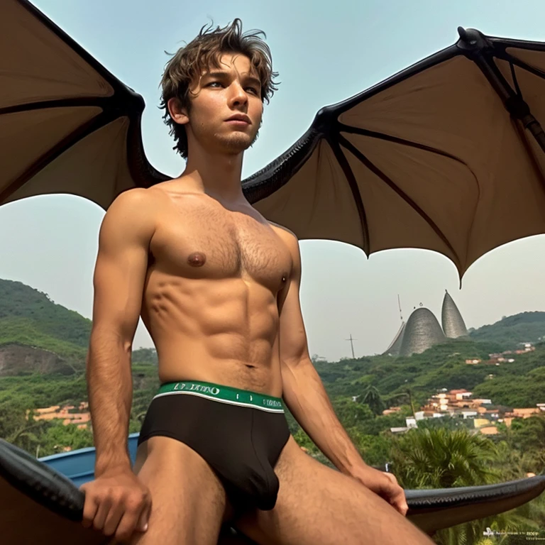 ((melhor qualidade)), ((obra de arte)), ((how to train your dragon)), (Hiccup),  16 anoinho, taquinho, pelado, (penis ereto aparente) duro