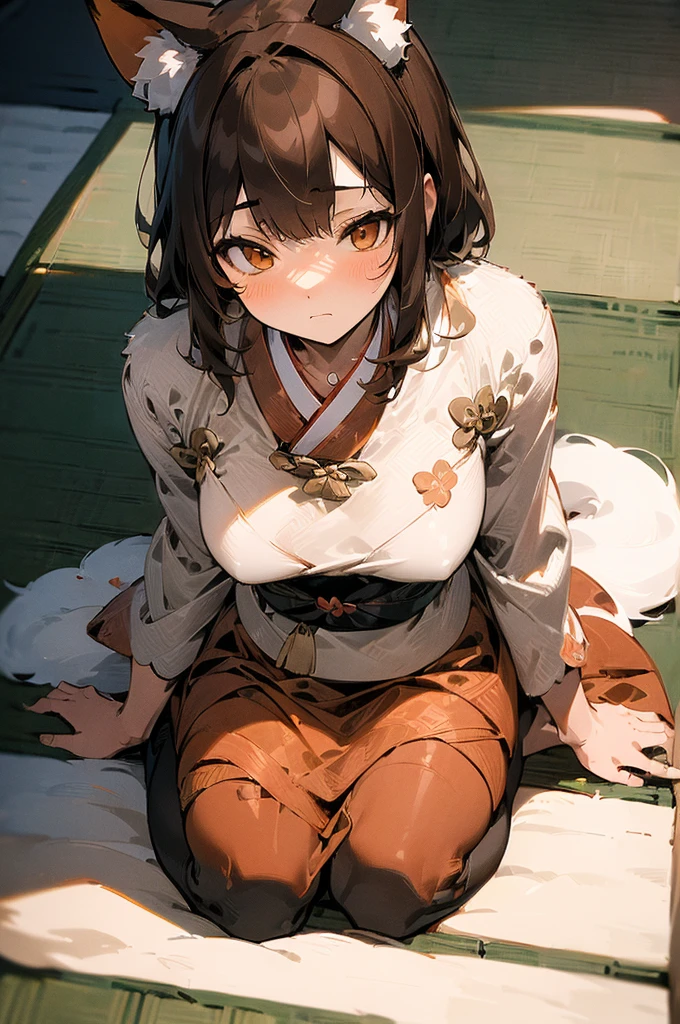 (((masterpiece))),(((bestquality))),((ultra-detailed)),(illustration),((an extremely delicate and beautiful)), fox girl, kitsune, brown hair, fluffy tail, detailed background, samurai outfit, sitting in a japanese room, tatami mat, calm expression