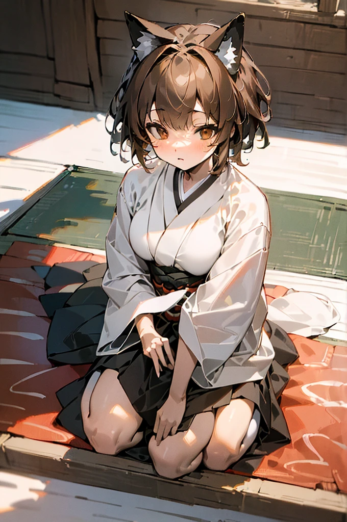 (((masterpiece))),(((bestquality))),((ultra-detailed)),(illustration),((an extremely delicate and beautiful)), fox girl, kitsune, brown hair, fluffy tail, detailed background, samurai outfit, sitting in a japanese room, tatami mat, holding a katana, short hair, full fringe, tomboy appearance, samurai girl