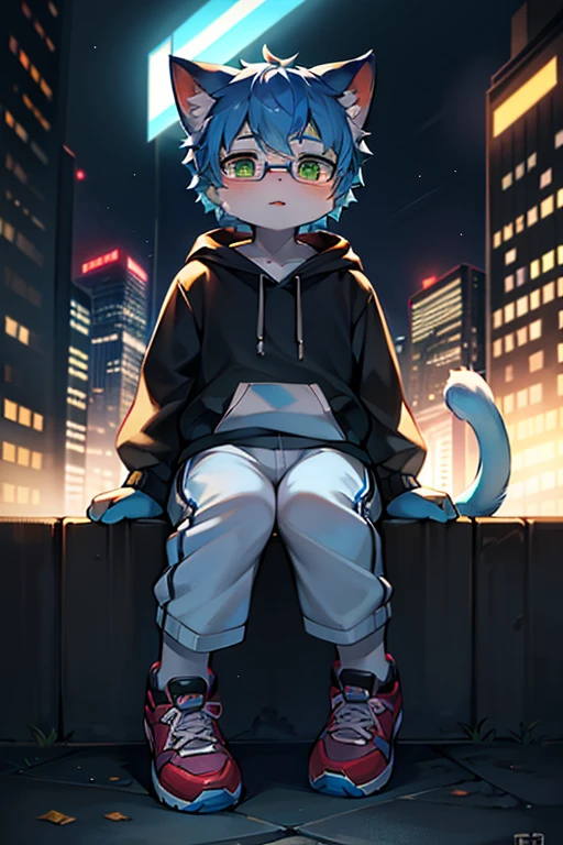 （best quality，4k，8k，high resolution，masterpiece：1.2），Ultra-detailed，（lifelike，lifelike，lifelike：1.37），blue short hair，fluffy，cute，illustration，Shota，digital painting，studio lighting，bright colors，Surreal，pastel color palette，soft light，hairy，Cat，Cat耳朵，Cat尾巴，green eyeale，long tail，personification，hairy艺术风格，blue fur，black hoodie，White trousers，sports shoes，city night viereen fingertips,There are God's eyes，Glasses）