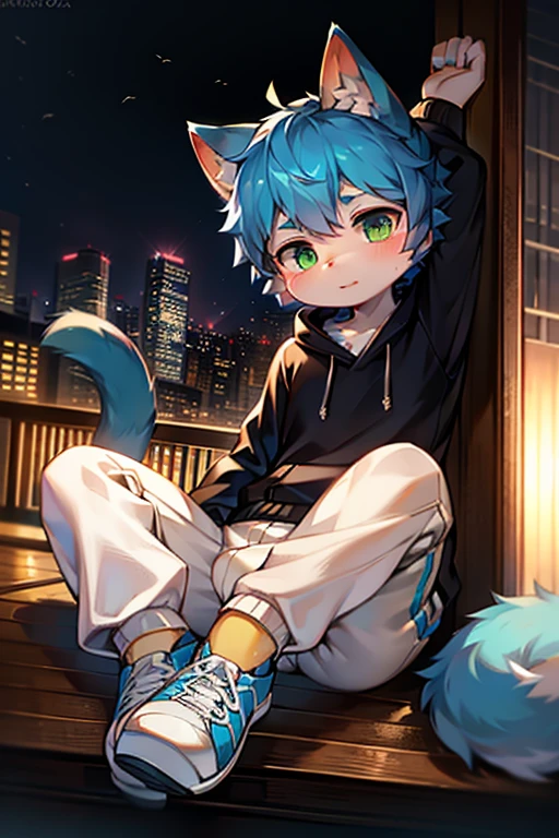 (best quality,4k,8k,high resolution,masterpiece:1.2),Ultra-detailed,(lifelike,lifelike,lifelike:1.37),blue short hair,fluffy,cute,illustration,Shota,digital painting,studio lighting,bright colors,Surreal,pastel color palette,soft light,hairy,Cat,Cat耳朵,Cat尾巴,green eyeale,long tail,personification,hairy艺术风格,blue fur,black hoodie,White trousers,sports shoes,city night viereen fingertips,There are God's eyes)