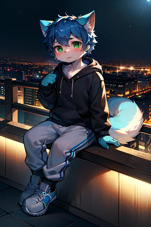(best quality,4k,8k,high resolution,masterpiece:1.2),Ultra-detailed,(lifelike,lifelike,lifelike:1.37),blue short hair,fluffy,cute,illustration,Shota,digital painting,bright colors,Surreal,pastel color palette,soft light,hairy,Cat,Cat耳朵,Cat尾巴,green eyeale,long tail,personification,hairy艺术风格,blue fur,black hoodie,White loose trousers,sports shoes,city night view,There are God's eyes)