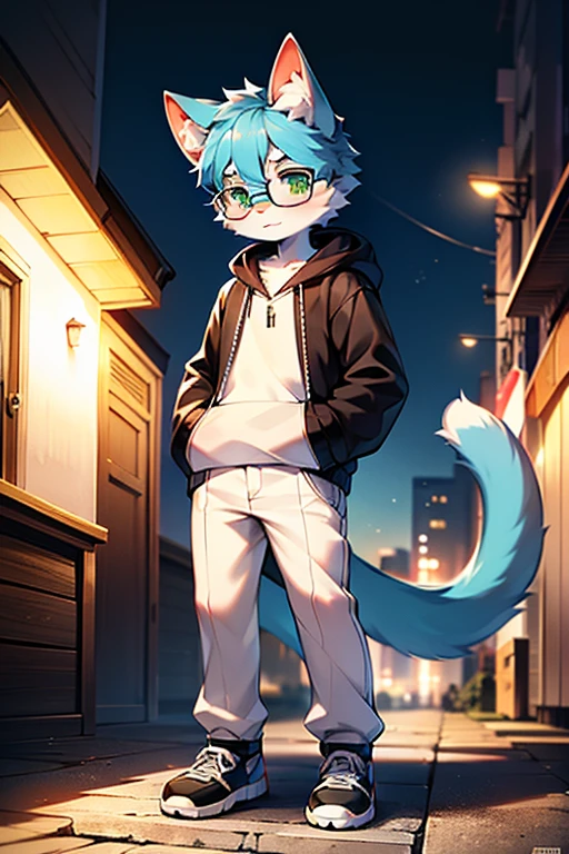 （best quality，4k，8k，high resolution，masterpiece：1.2），Ultra-detailed，（lifelike，lifelike，lifelike：1.37），blue short hair，fluffy，cute，illustration，Shota，digital painting，bright colors，Surreal，pastel color palette，soft light，hairy，Cat，Cat耳朵，Cat尾巴，green eyeale，long tail，personification，hairy艺术风格，blue fur，black hoodie，White loose trousers，sports shoes，city night view，There are God's eyes，Glasses，standing，Hand pockets）